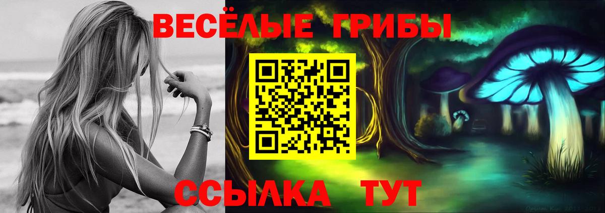 Галлюциногенные грибы MAGIC MUSHROOMS  Вход с VPN  Казань 